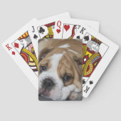 Slaapendeltje Kaarten (Achterkant)