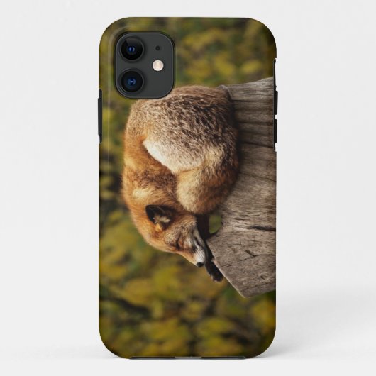 Slaapfoto Case-Mate iPhone Case (Achterkant)