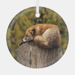 Slaapfoto Glas Ornament
