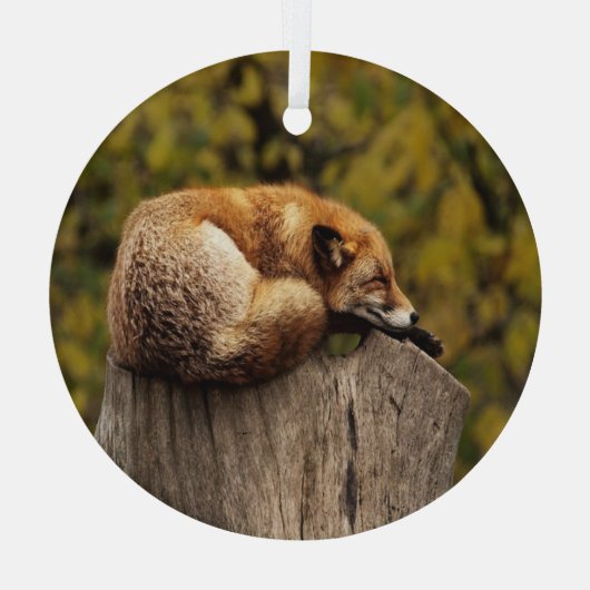 Slaapfoto Glas Ornament (Achterkant)