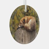 Slaapfoto Glas Ornament (Voorkant Rechts)