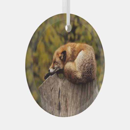 Slaapfoto Glas Ornament (Voorkant Rechts)