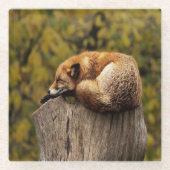 Slaapfoto Glazen Onderzetter (Voorkant)