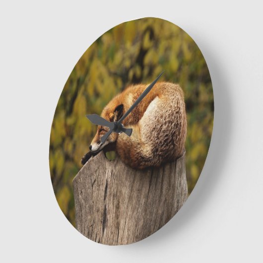 Slaapfoto Grote Klok (Hoek)