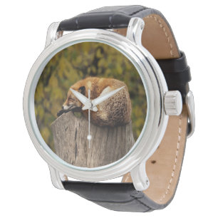 Slaapfoto Horloge