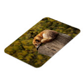 Slaapfoto Magneet (Linkerzijde)