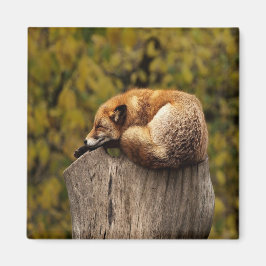 Slaapfoto Magneet