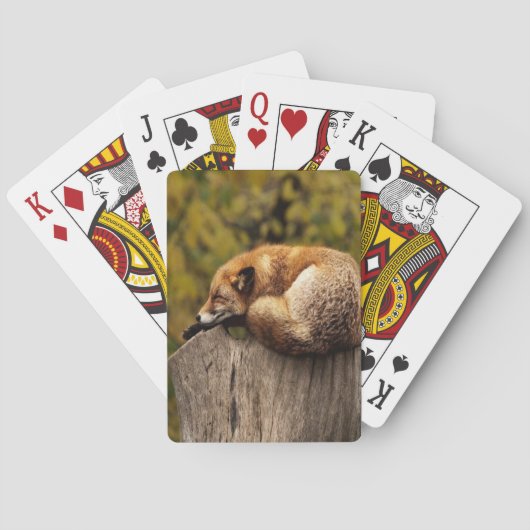 Slaapfoto Pokerkaarten (Achterkant)