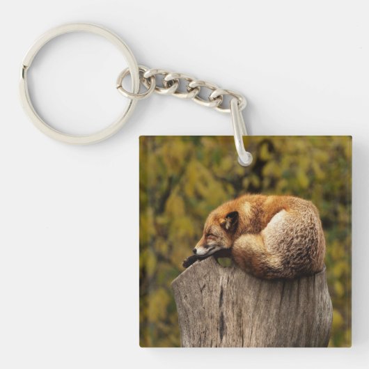 Slaapfoto Sleutelhanger (voorkant)