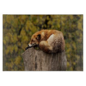 Slaapfoto Snijplank (Voorkant)
