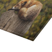 Slaapfoto Snijplank (Hoek)