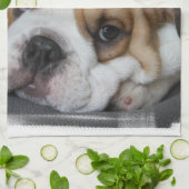 Slaaphanddoek Theedoek (Gevouwen)