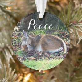 Slaapherten Vredesvakantie Ornament