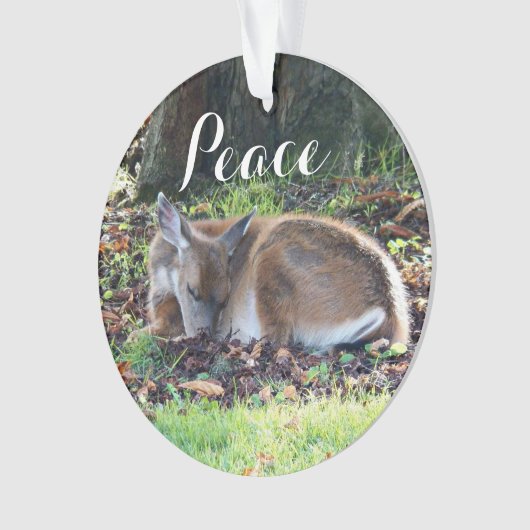 Slaapherten Vredesvakantie Ornament (voorkant)
