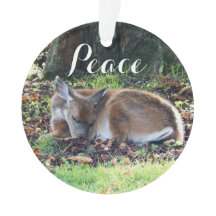 Slaapherten Vredesvakantie