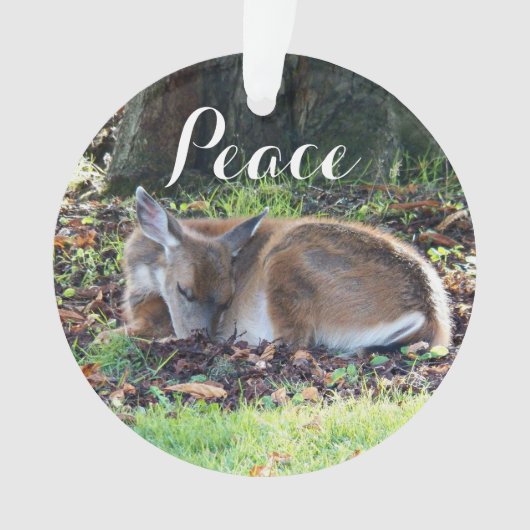 Slaapherten Vredesvakantie Ornament (voorkant)