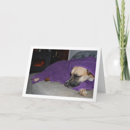 Slaaphond bij open haard kaart (Voorkant)