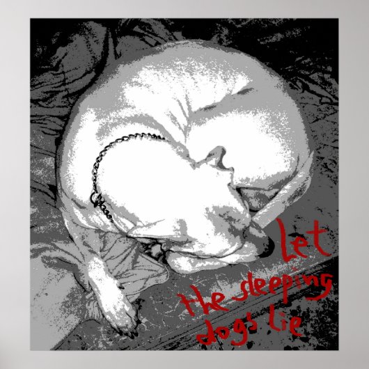 Slaaphond (poster) poster (Voorkant)