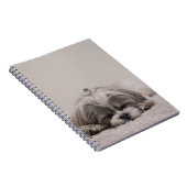 Slaaphond Shih tzu Notitieboek (Rechterzijde)