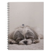 Slaaphond Shih tzu Notitieboek (Voorkant)