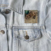 Slaaphond Vierkante Button 5,1 Cm (In situ)