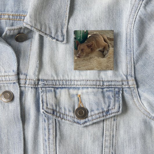 Slaaphond Vierkante Button 5,1 Cm (In situ)