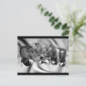 slaaphoofdrottweiler-puppies briefkaart (Staand voorkant)