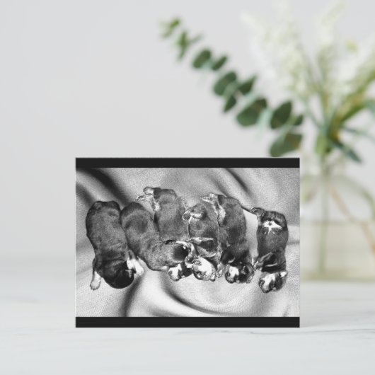 slaaphoofdrottweiler-puppies briefkaart (Staand voorkant)