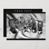 slaaphoofdrottweiler-puppies kaart (Voorkant / Achterkant)