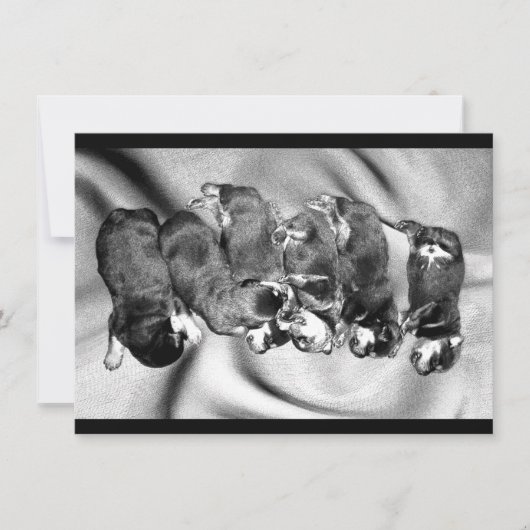 slaaphoofdrottweiler-puppies kaart (Voorkant)