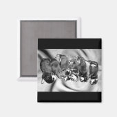 slaaphoofdrottweiler-puppies magneet (Voorkant / Achterkant)