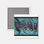 slaaphoofdrottweiler-puppies magneet (Voorkant / Achterkant)