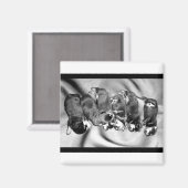 slaaphoofdrottweiler-puppies magneet (Voorkant / Achterkant)