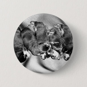 slaaphoofdrottweiler-puppies ronde button 5,7 cm