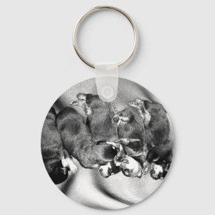 slaaphoofdrottweiler-puppies sleutelhanger