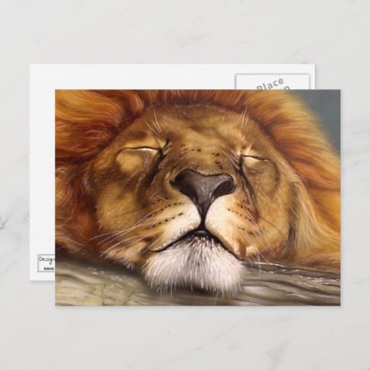 Slaaphuis Briefkaart (Voorkant / Achterkant)