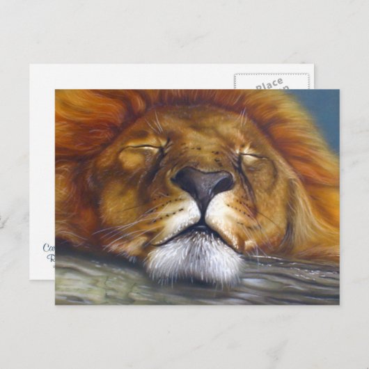 Slaaphuis Briefkaart (Voorkant / Achterkant)