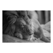 Slaaphuis Foto Afdruk (Voorkant)