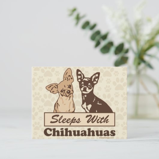 Slaapjes met Chihuahuas Briefkaart (Staand voorkant)