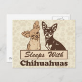 Slaapjes met Chihuahuas Briefkaart (Voorkant / Achterkant)