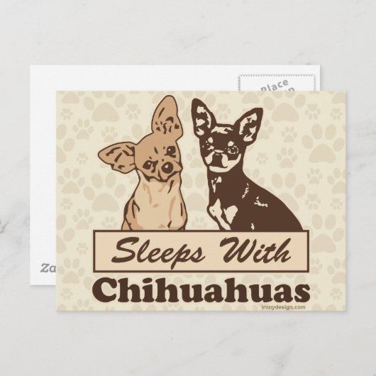 Slaapjes met Chihuahuas Briefkaart (Voorkant / Achterkant)