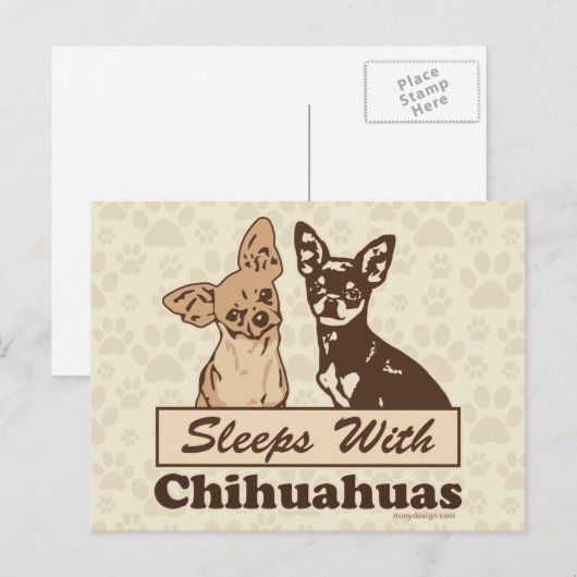 Slaapjes met Chihuahuas Briefkaart (Voorkant / Achterkant)