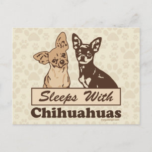 Slaapjes met Chihuahuas Briefkaart