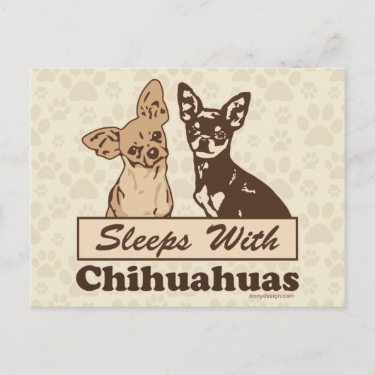 Slaapjes met Chihuahuas Briefkaart (Voorkant)