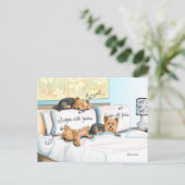 Slaapjes met Yorkies Briefkaart (Staand voorkant)