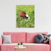 Slaapkalf Canvas Afdruk (Insitu (Woonkamer))