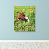 Slaapkalf Canvas Afdruk (Insitu (Houten vloer))