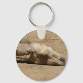 Slaapkameel Sleutelhanger (Voorkant)