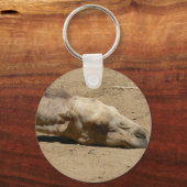 Slaapkameel Sleutelhanger (Voorkant)