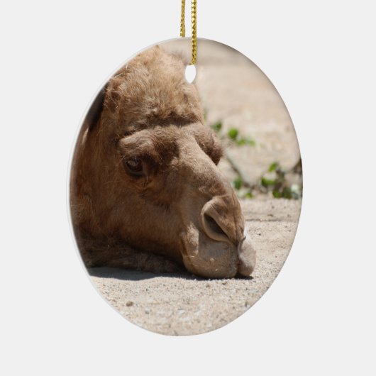 Slaapkamel Keramisch Ornament (Rechts)